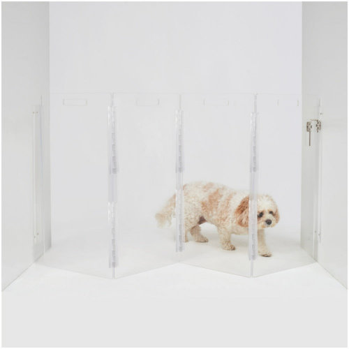 Hiddin Clear Zig Zag Pet Gate Wall Mounted Pet Gate with Gold Latch